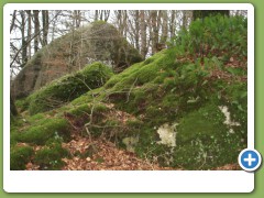 druids pulpit1