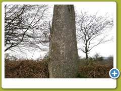 Menhir Kerien