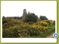 Menhir Landes de Locarn1