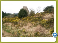 Menhir Landes de Locarn3