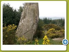 Menhir Landes de Locarn 2